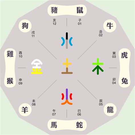 地支屬性|12地支